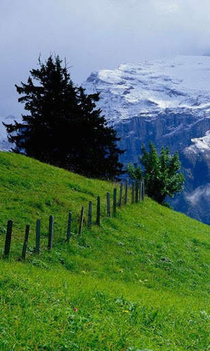 HD Landscape Live Wallpaper screenshot 15