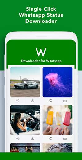 Fast Video Downloader App, download all videos screenshot 3