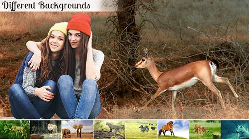 Wild Animal Photo Editor Frame screenshot 15