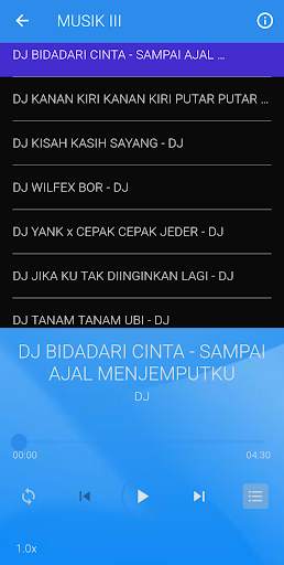DJ Bus Oleng remix screenshot 5
