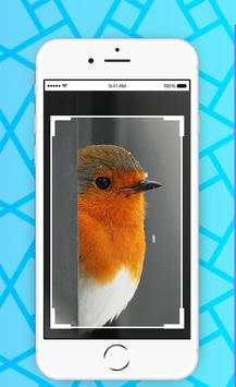 Gallery Pro screenshot 7