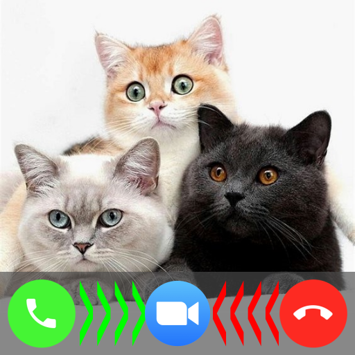 Cat Call You - Cat Video Call &amp; Chat Simulator icon