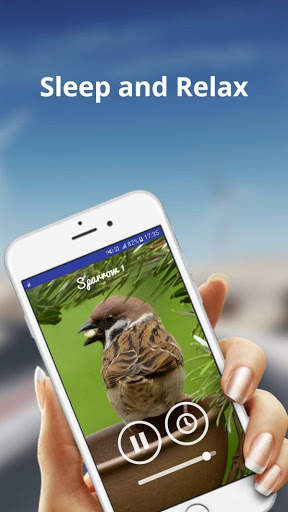 Sparrow Sounds - Sleep & Relax screenshot 2