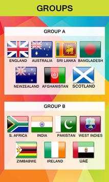 Cricket Worldcup 2015 screenshot 4