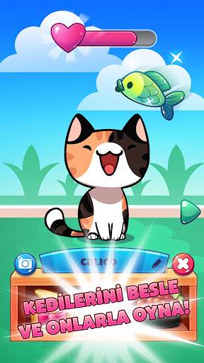 Kedi Oyunu - Cats Collector screenshot 2