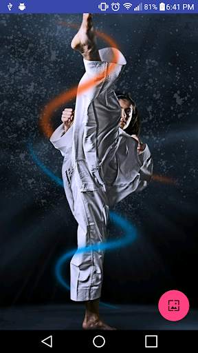 Taekwondo Wallpapers HD & Motivation скриншот 2