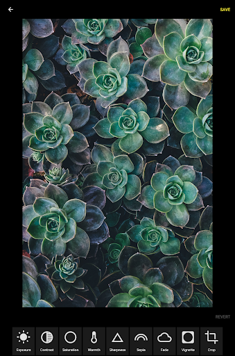 Grafo Photo Studio screenshot 10