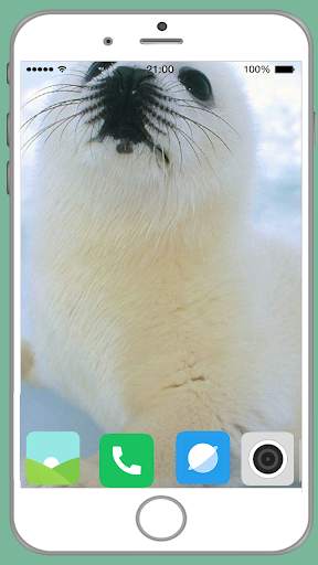 Harb Seal Full HD Wallpaper screenshot 3
