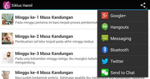 PANDUAN IBU HAMIL BAYI BALITA 12 تصوير الشاشة