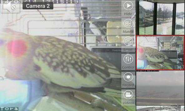 Viewer for EasyN cameras screenshot 2