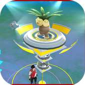 Accidents With Pokemon Go
