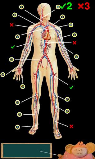 Funny anatomy screenshot 5