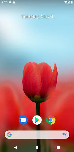 3D Tulip Live Wallpaper screenshot 1