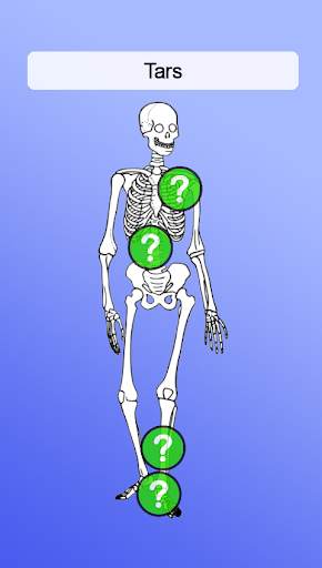 Anatomia screenshot 3