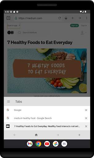 Incognito Browser screenshot 7