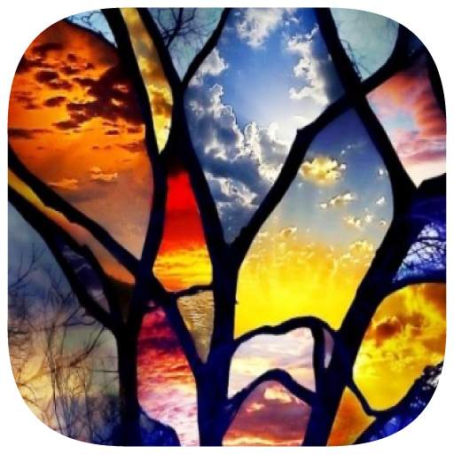 125 Photo Crosswords 1.0.1