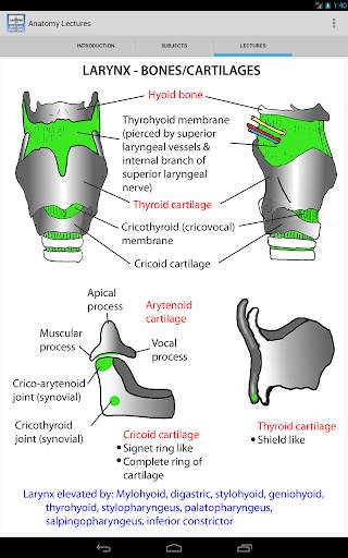 Anatomy Lectures screenshot 8