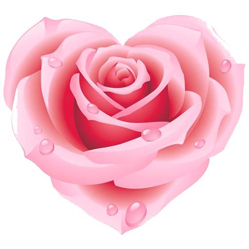 WAStickerApps - Flower Stickers for WA 1.0
