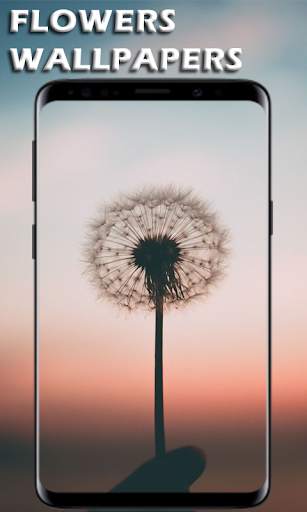 Flowers Wallpapers Ultra HD - Flowers 4K Wallpaper screenshot 7