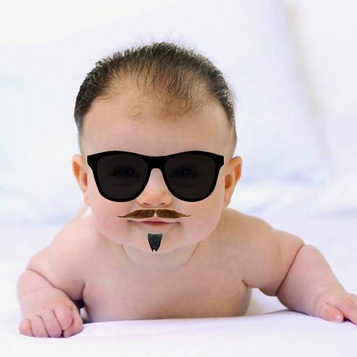 Funny Face Changer 1.7