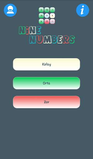 Nine Numbers screenshot 1