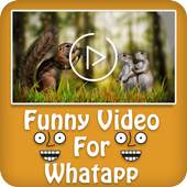 Funny Video For Whatsap 1.2