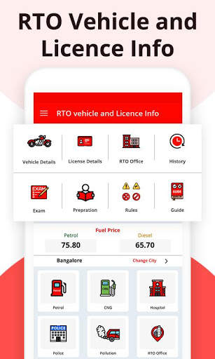 RTO vehicle & licence info screenshot 1