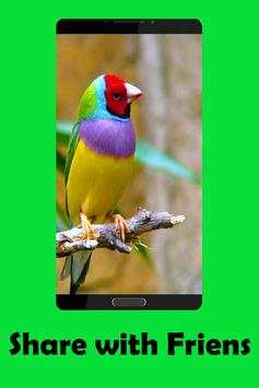 Birds Sounds screenshot 3
