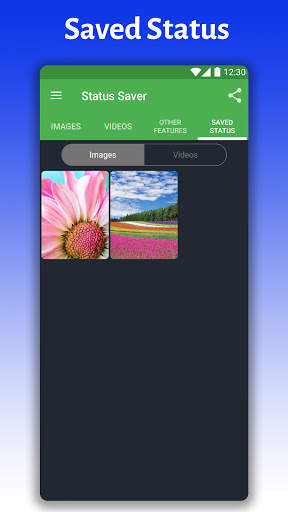 Status Saver Fast Save - Save Video and Image screenshot 3