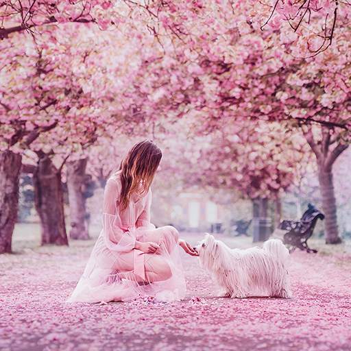 Girly Wallpapers for Girls 6.0.57
