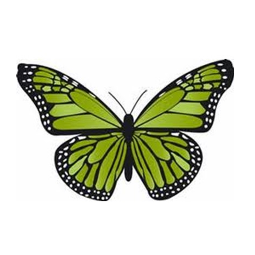 MGLF Vitual Studio icon
