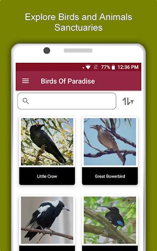 Australia Travel & Explore, Offline Tourist Guide screenshot 13