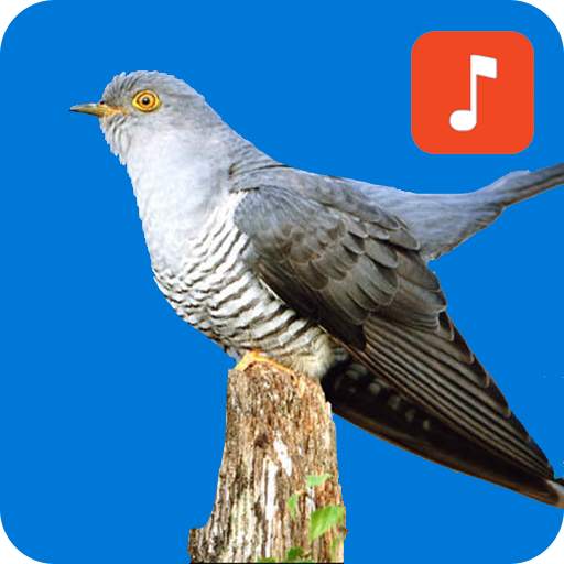 Cuckoo Bird Ringtones 1.0.2