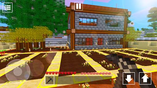 Survival World Craft screenshot 4