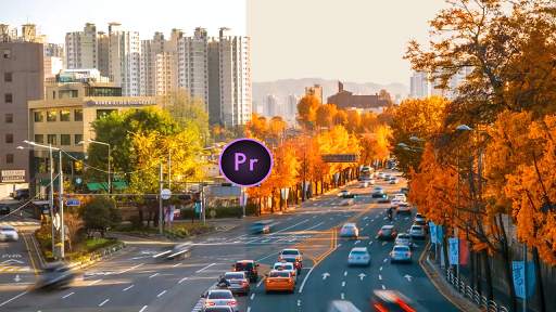 Presets for Adobe Premiere Pro - Free screenshot 2