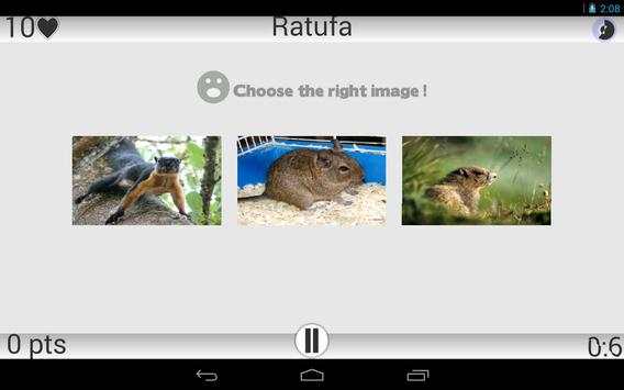 Animals screenshot 10