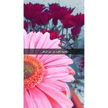 اقتباسات سنابيه و سنابات 4 تصوير الشاشة