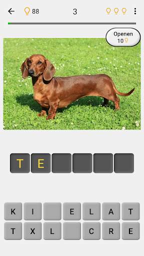 Honden: Foto-quiz over alle populaire hondenrassen screenshot 2