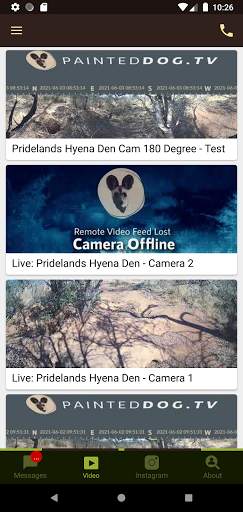 Painted Dog TV screenshot 2