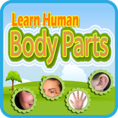 Learn Human Body Parts icon