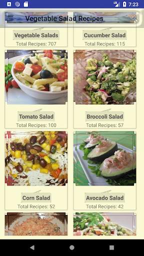 Vegetable Salad Recipes screenshot 1
