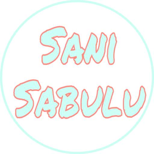 Sani Sabulu 3.5