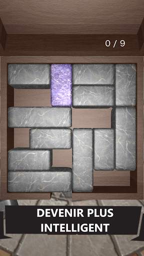 Unblock 3D Puzzle screenshot 5