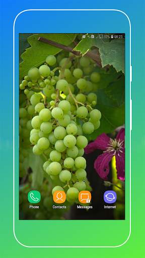 Grapes Wallpapers HD screenshot 3