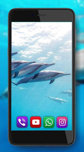 Dolphin Voice screenshot 5