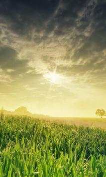 Nature Wallpapers Big Pack screenshot 1