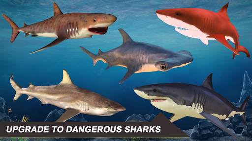 Shark Attack Sim: Hunting Game screenshot 7