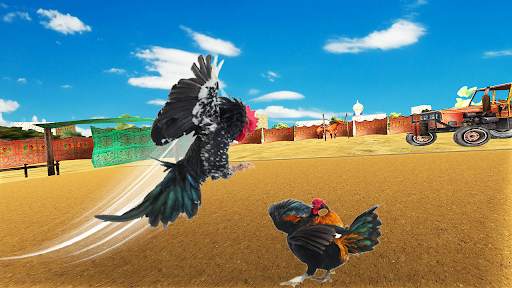 Wild Rooster Fighting Angry Chickens Fighter Games screenshot 1