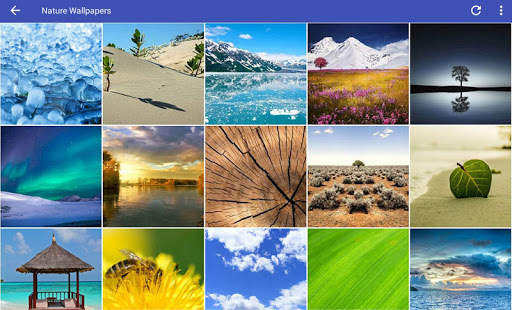 Nature Wallpapers HD screenshot 7