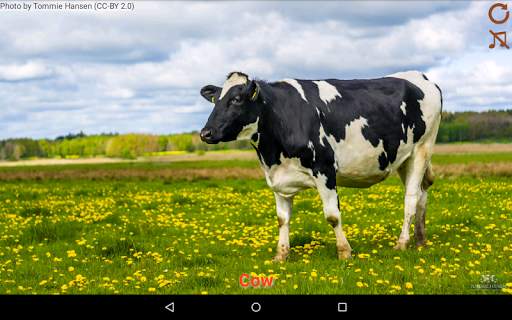 Domestic animals for kids screenshot 7